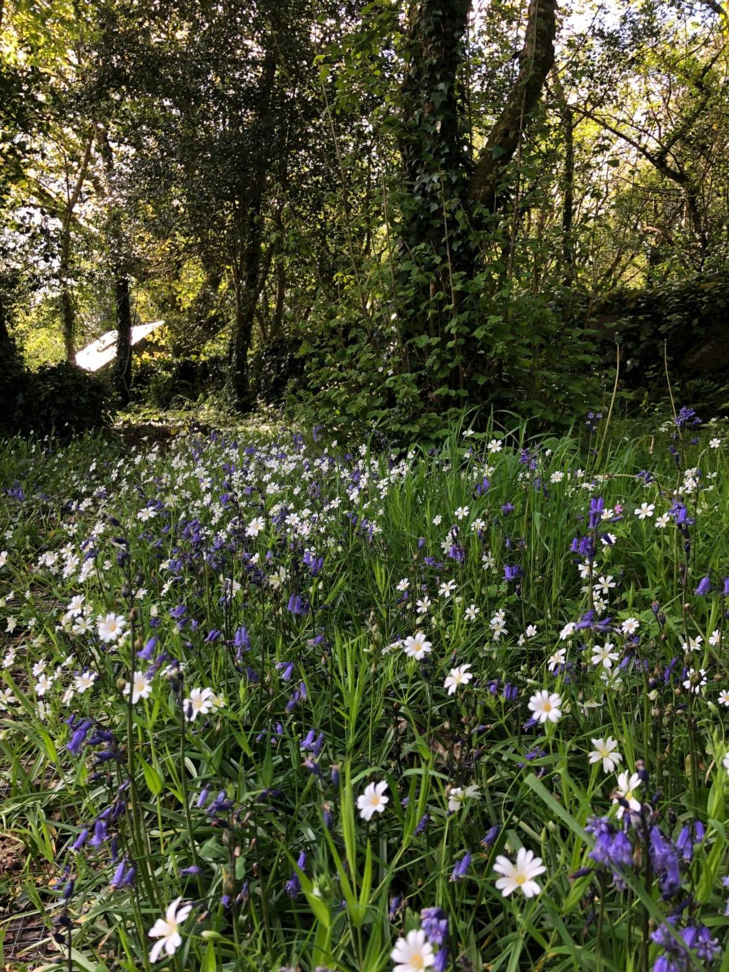 Vila Sligo Forest Retreat Exteriér fotografie